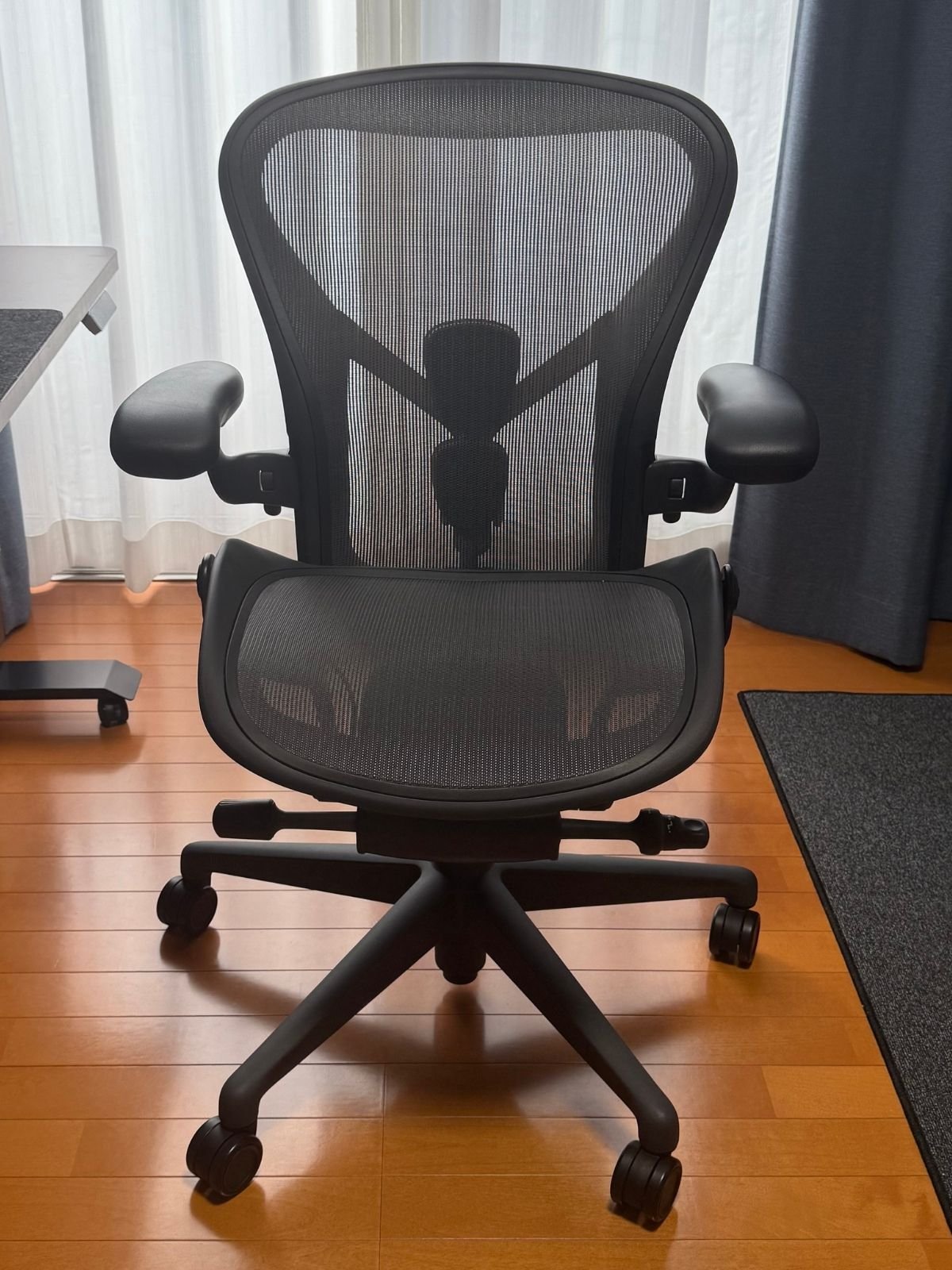 正面から見たアーロンチェア リマスタード Bサイズ